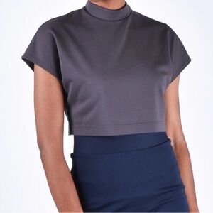 Paridaez Egret Pewter Crop Cap Sleeve 2 in 1 Top